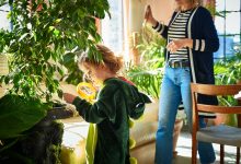 Photo of В России началась новая экологическая программа