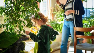 Photo of В России началась новая экологическая программа