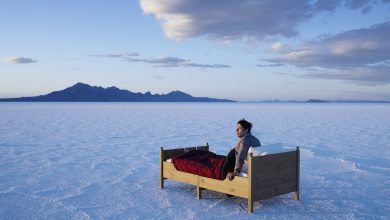 Photo of В Москве прошел фестиваль культуры